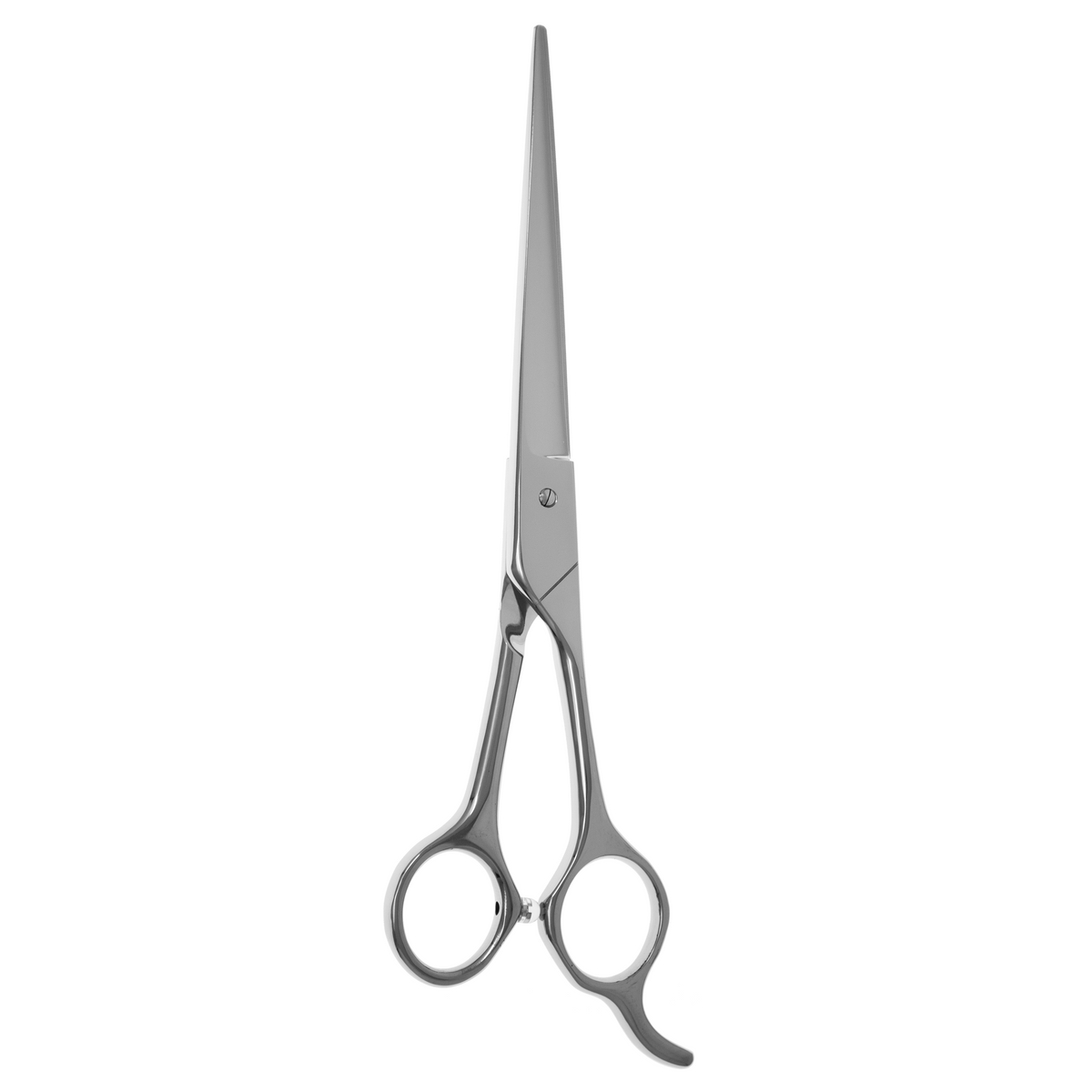 Bucchelli NOVA | Straight Grooming Shear