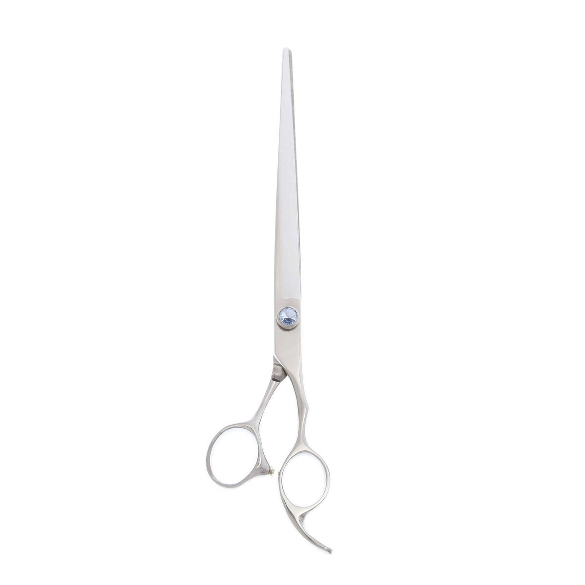 Bucchelli BELLADONNA | Straight Grooming Shear