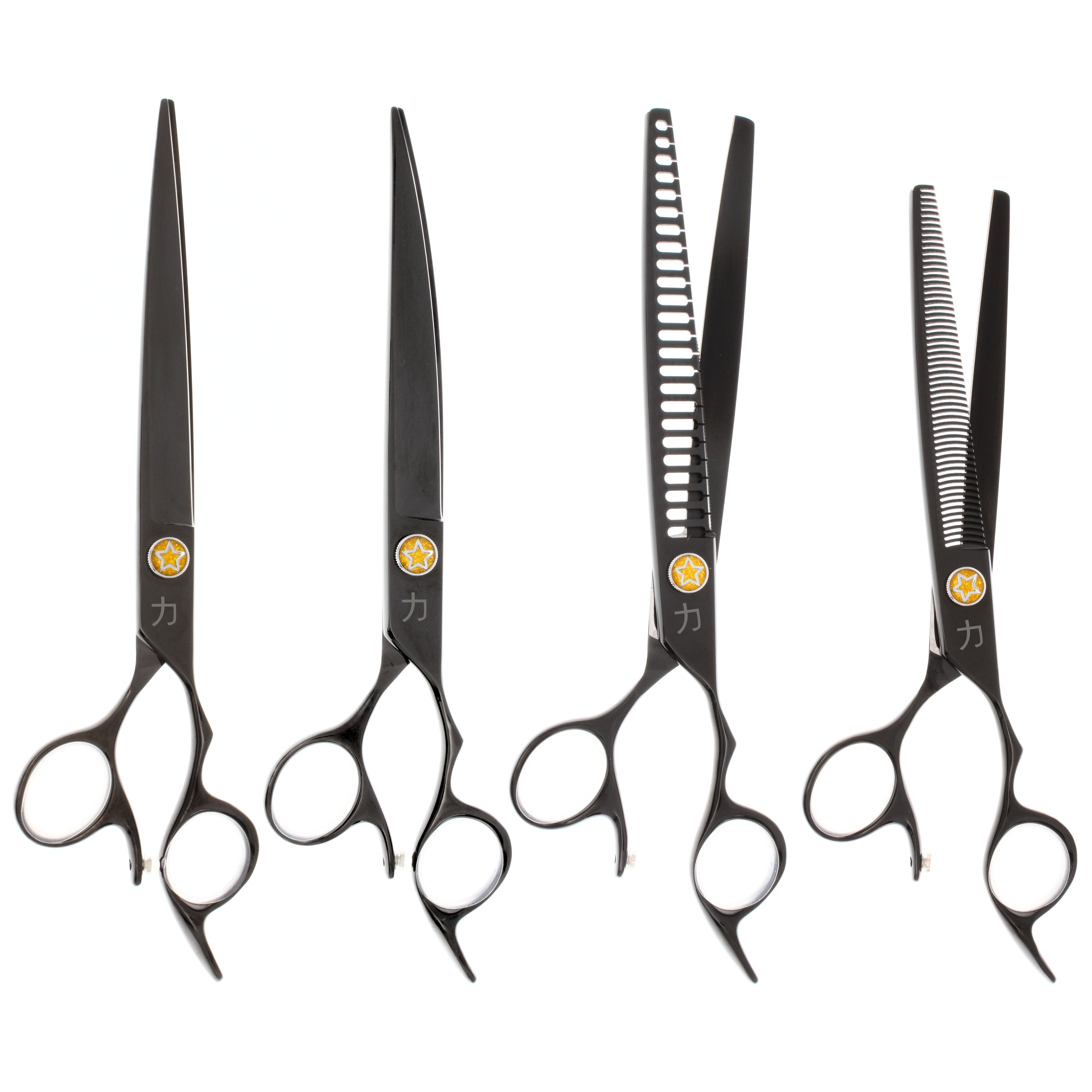 Bucchelli CHAMPION | Grooming Shear Sets
