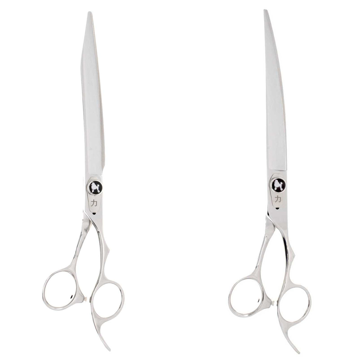 Bucchelli POODLE | Grooming Shear Sets